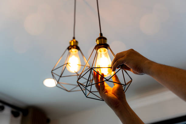 Best Local Electrician Companies  in Cayce, SC